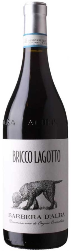 Bricco Lagotto - Barbera d'Alba DOC 2023